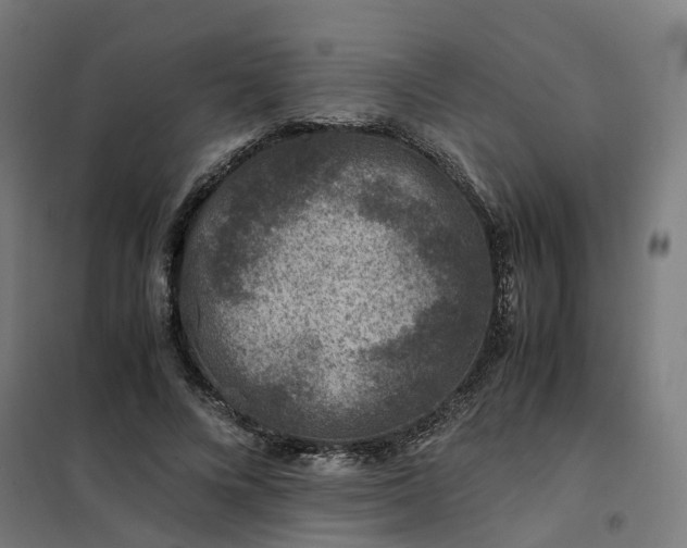 X0000101710688200807241456