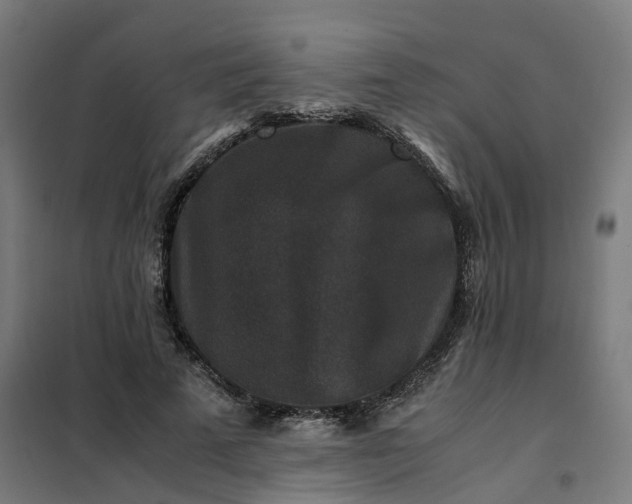 X0000101710689200807241456