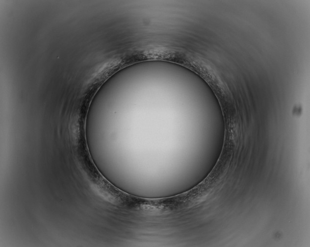 X0000101710690200807241456