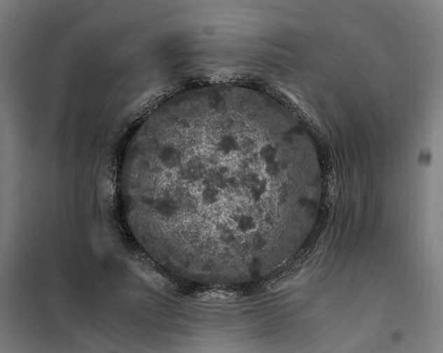 X0000101710691200807241456