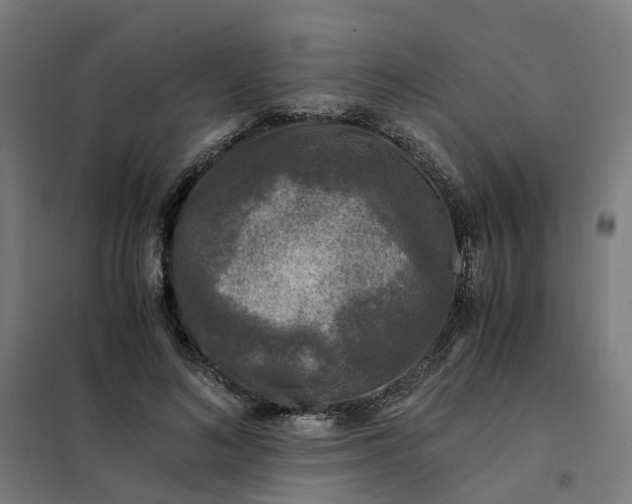 X0000101710692200807241456