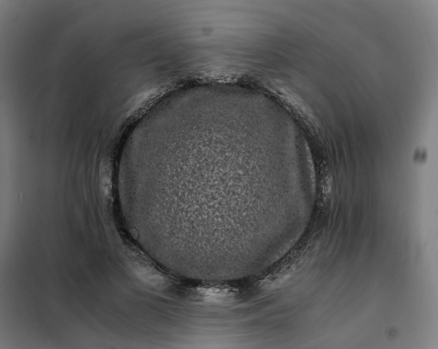 X0000101710693200807241456