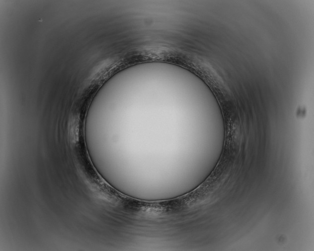 X0000101710694200807241456