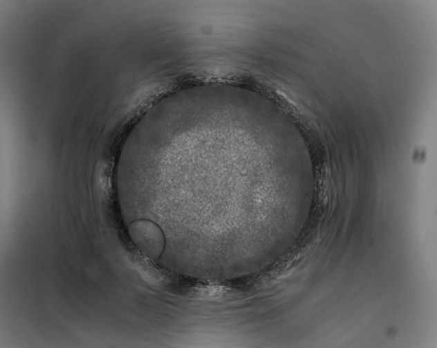 X0000101710695200807241456