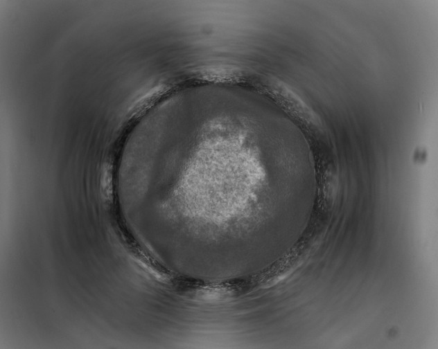 X0000101710696200807241456