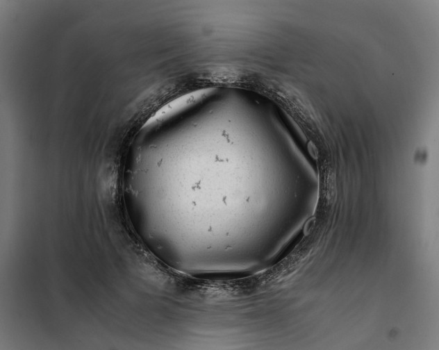 X0000101710697200807241456