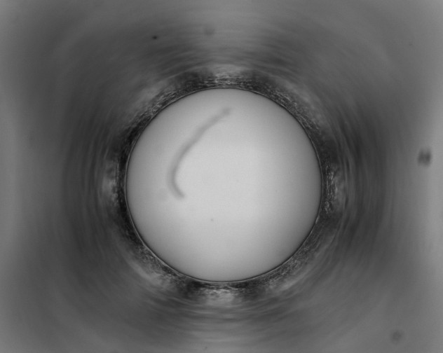 X0000101710698200807241456