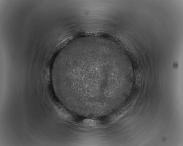 X0000101710699200807241456