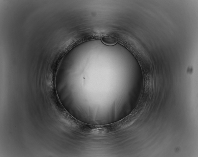 X0000101710700200807241456