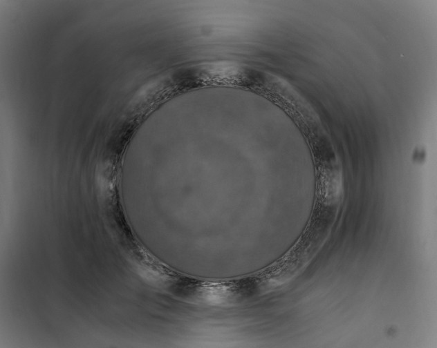 X0000101710701200807241456