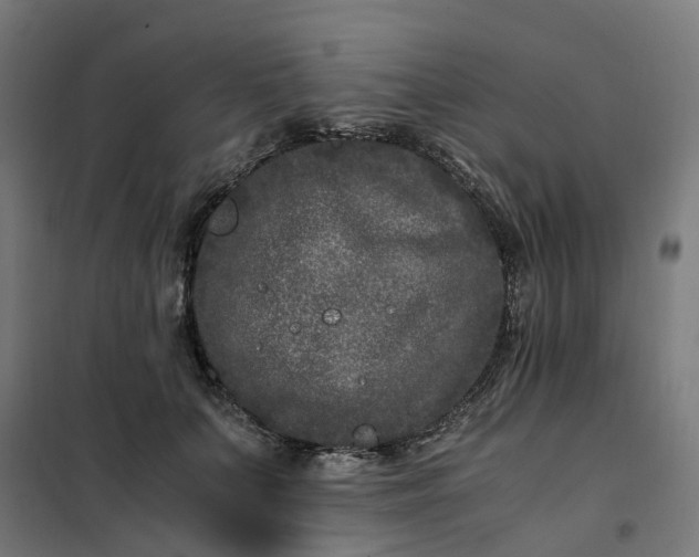 X0000101710703200807241456