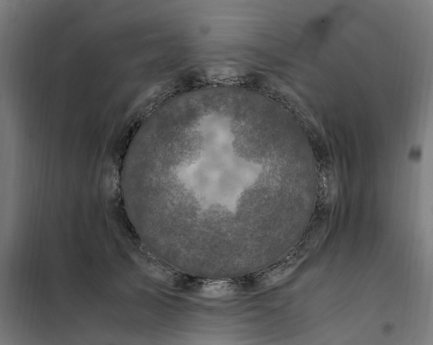 X0000101710705200807241456