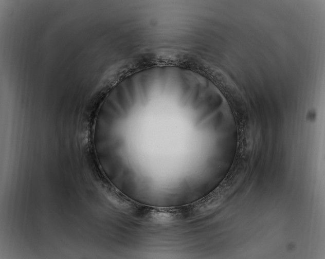 X0000101710706200807241456