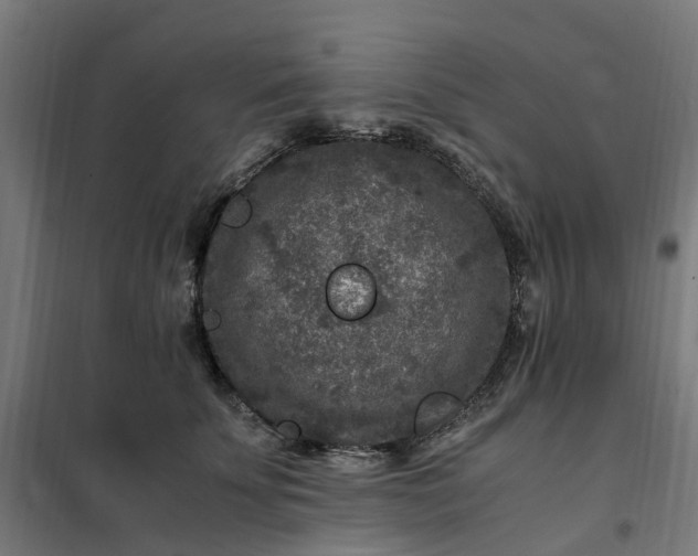 X0000101710707200807241456