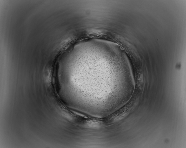 X0000101710708200807241456