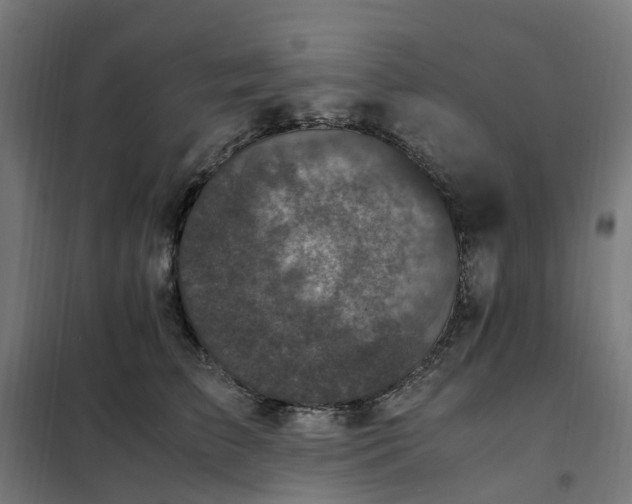 X0000101710709200807241456