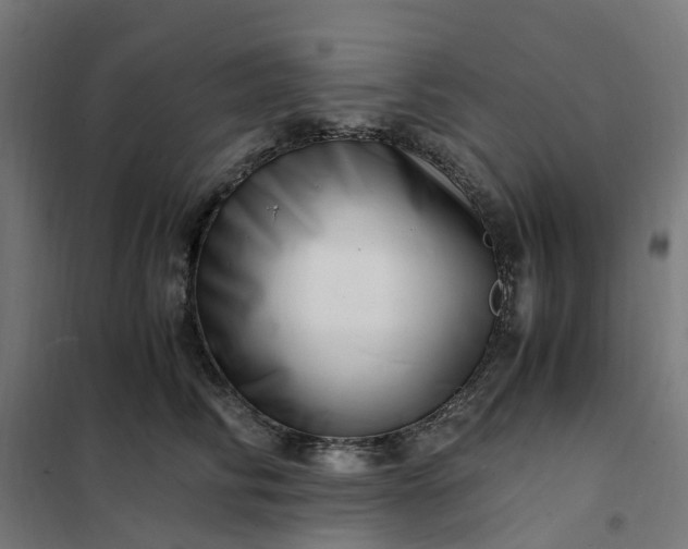 X0000101710710200807241456