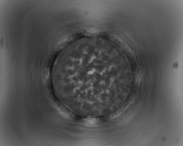 X0000101710711200807241456