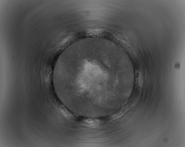 X0000101710712200807241456