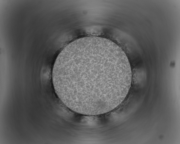 X0000101710713200807241456