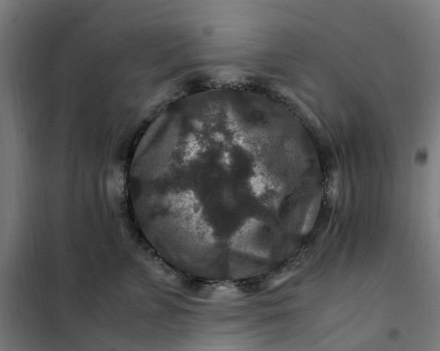 X0000101710715200807241456