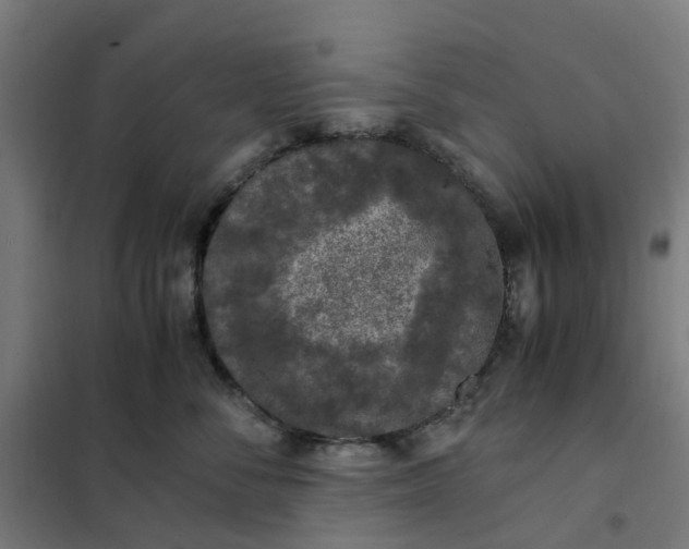 X0000101710716200807241456