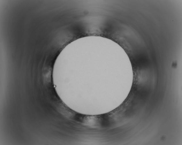 X0000101710717200807241456