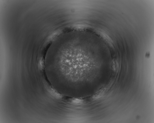 X0000101710718200807241456