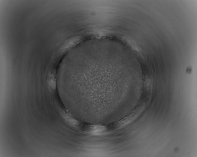 X0000101710719200807241456