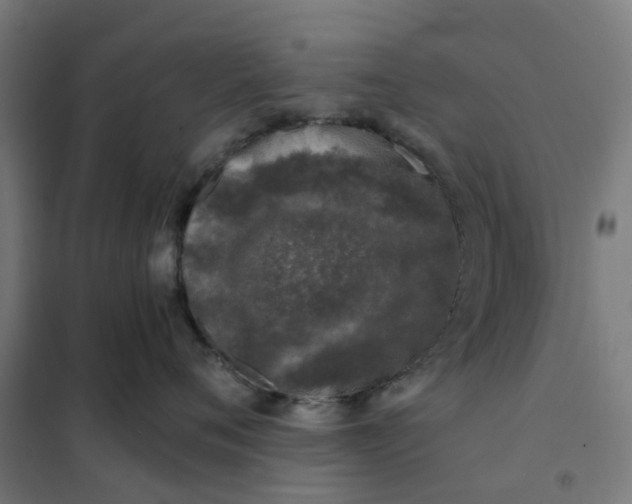 X0000101710720200807241456