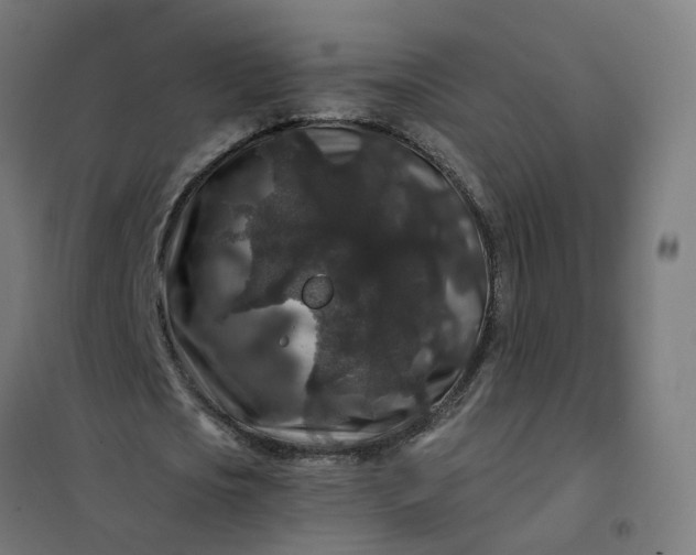 X0000101710721200807241455