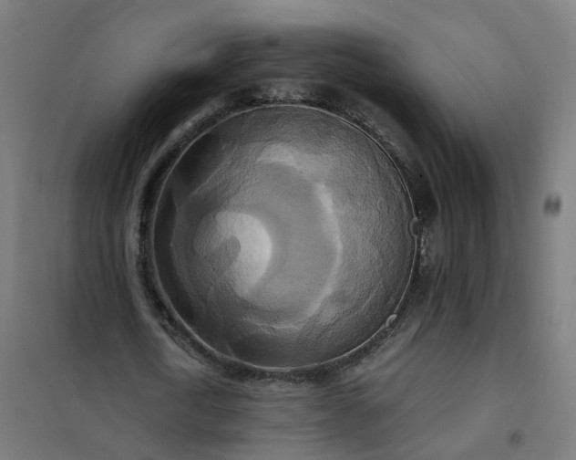 X0000101710722200807241455