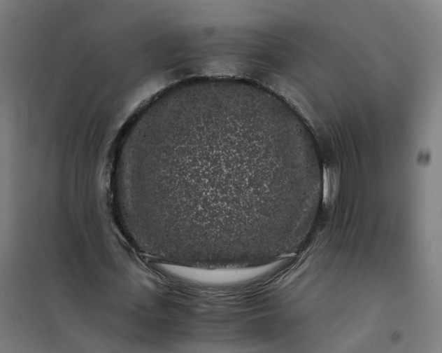 X0000101710723200807241455