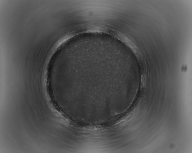 X0000101710724200807241455