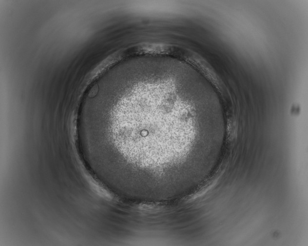 X0000101710725200807241455