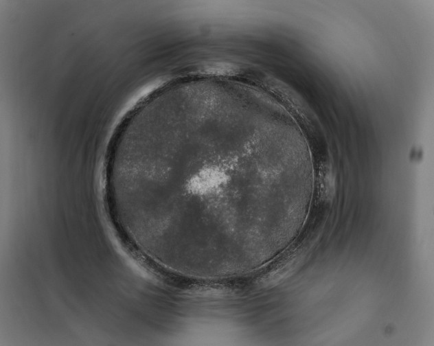 X0000101710726200807241455