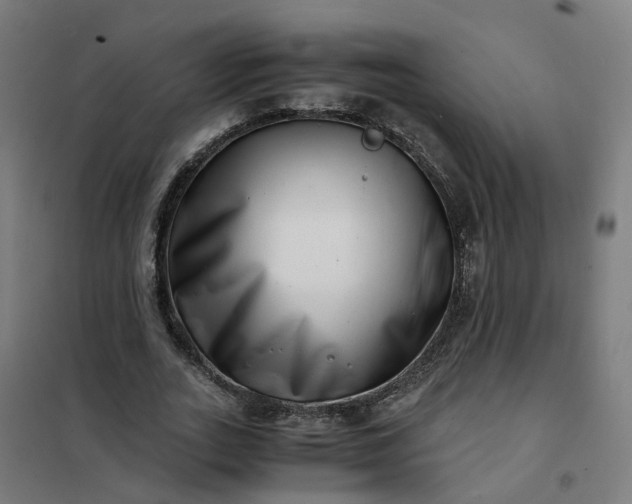 X0000101710727200807241455