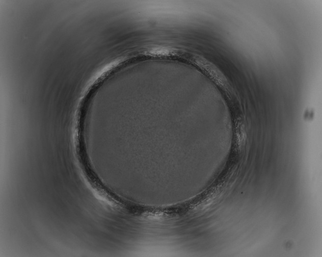 X0000101710728200807241455