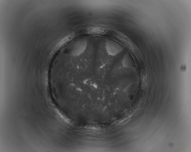 X0000101710729200807241455