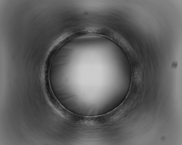 X0000101710730200807241455