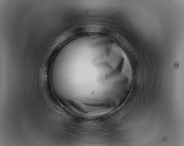 X0000101710731200807241455