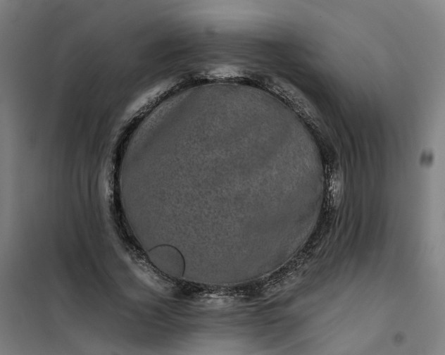 X0000101710732200807241455