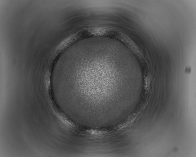 X0000101710733200807241455