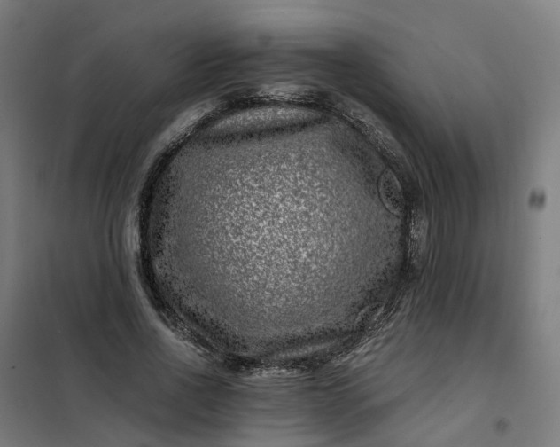 X0000101710734200807241455