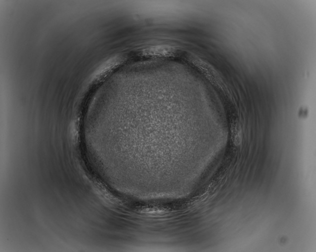 X0000101710735200807241455