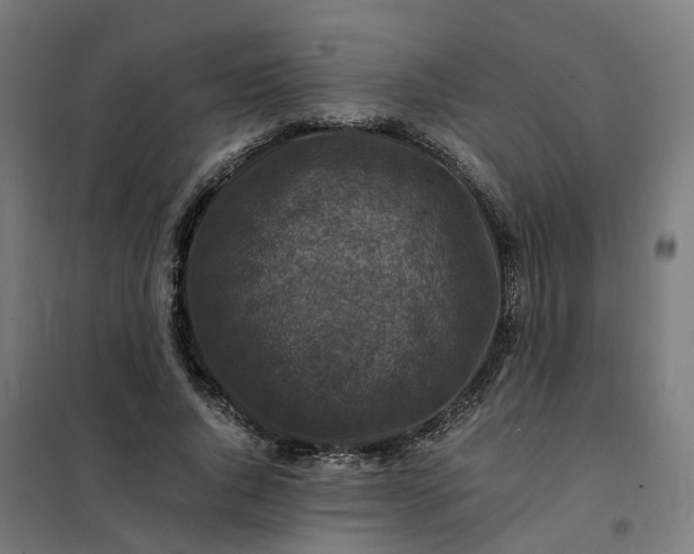 X0000101710736200807241455