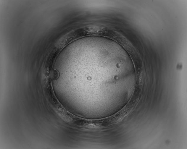 X0000101710737200807241455