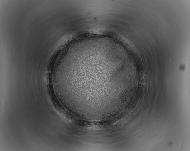 X0000101710738200807241455