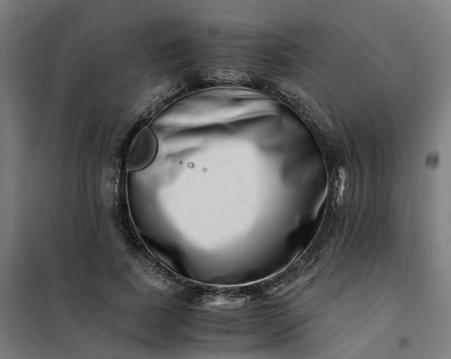 X0000101710739200807241455