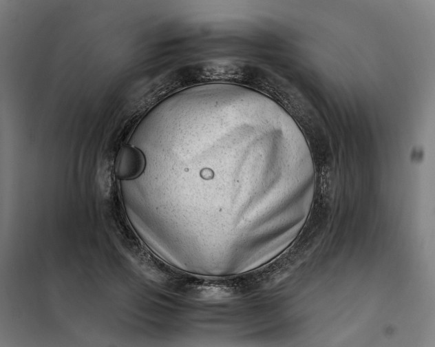 X0000101710741200807241455